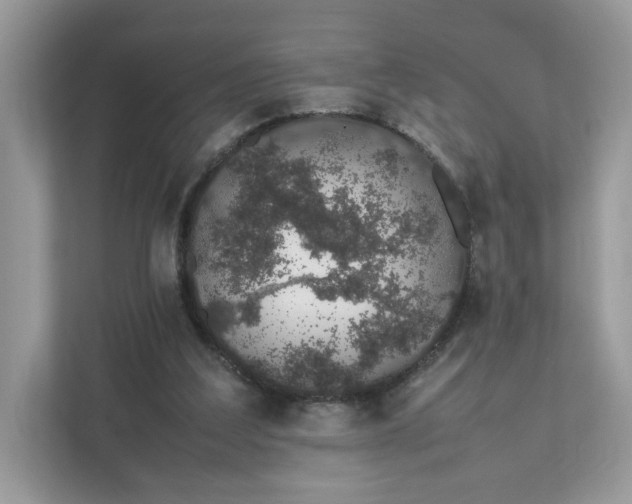 X0000111880203200907301144