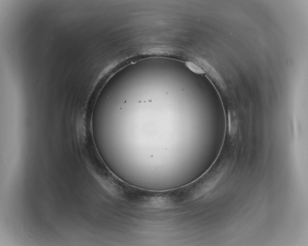 X0000111880204200907301144