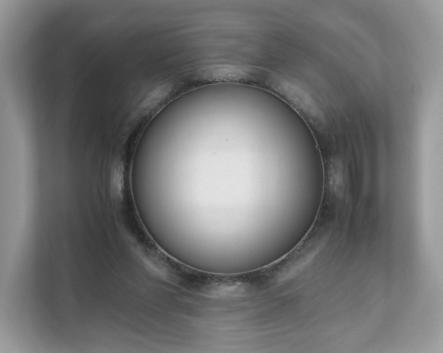 X0000111880206200907301144