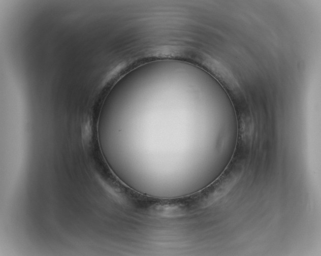 X0000111880208200907301144