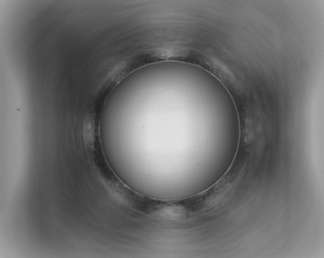 X0000111880210200907301144