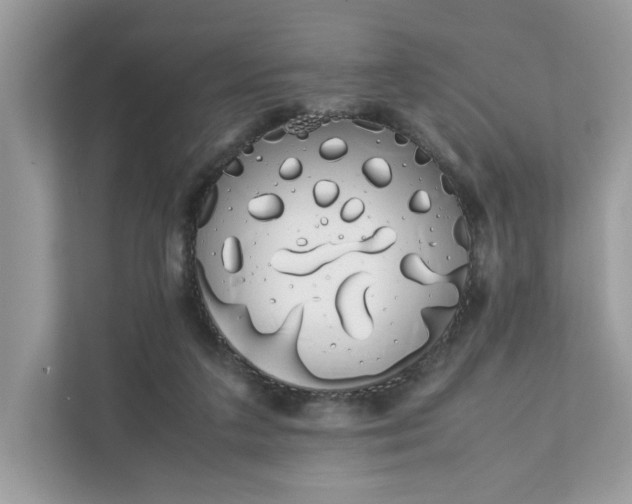 X0000111880211200907301144