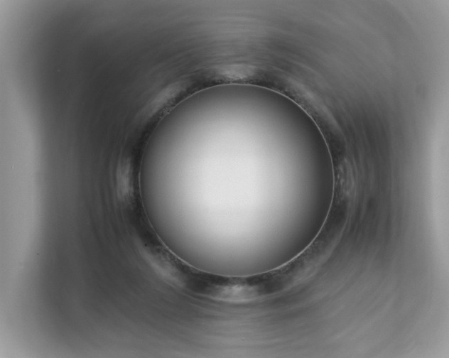 X0000111880212200907301144