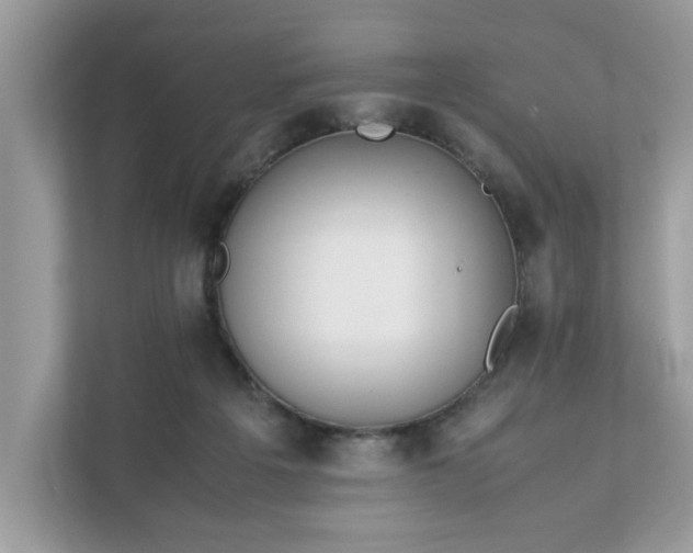 X0000111880217200907301143
