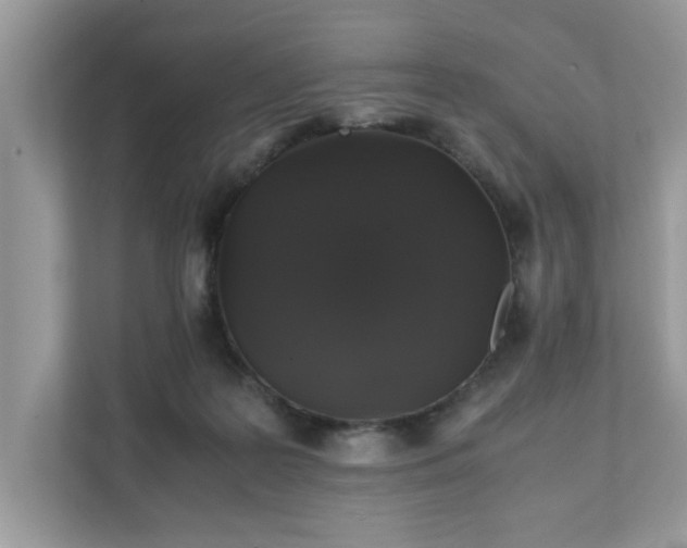 X0000111880219200907301143