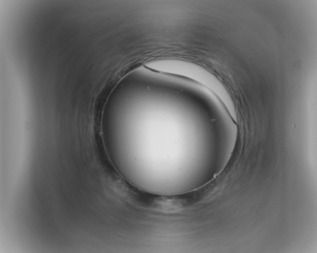 X0000111880221200907301143