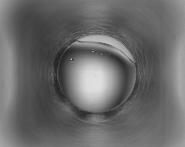 X0000111880223200907301143