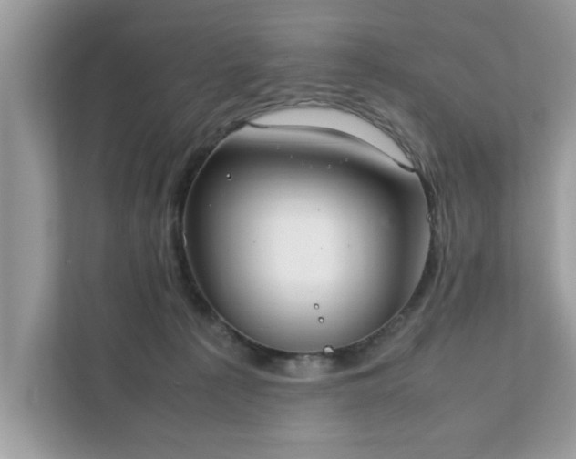 X0000111880225200907301143