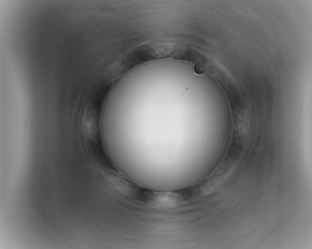 X0000111880226200907301143