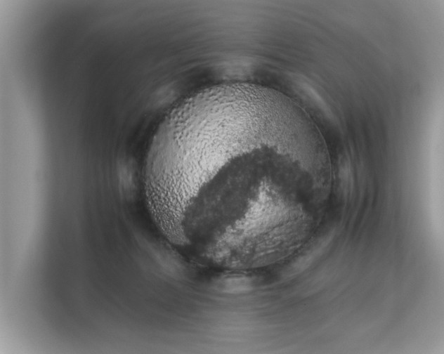 X0000111880228200907301143