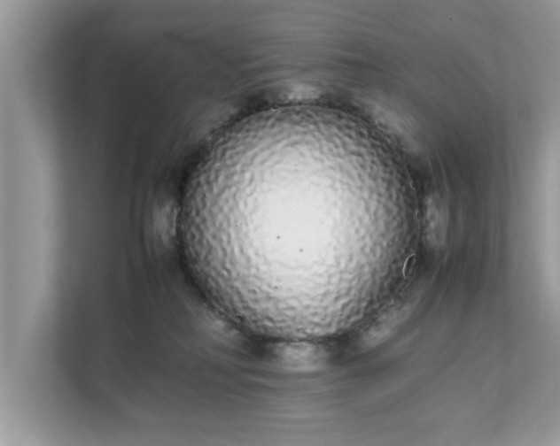 X0000111880230200907301143