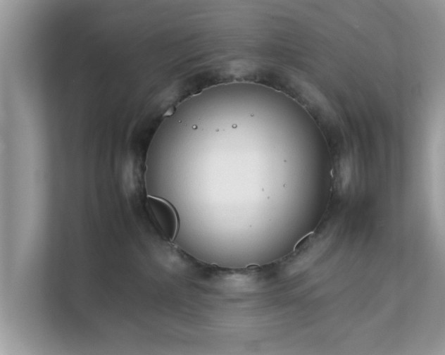 X0000111880236200907301143