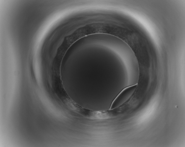 X0000111880239200907301143