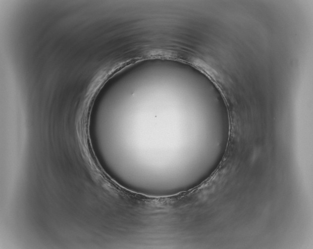 X0000111880241200907301143