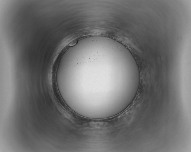 X0000111880242200907301143