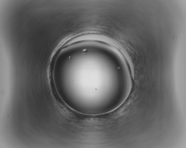 X0000111880244200907301143