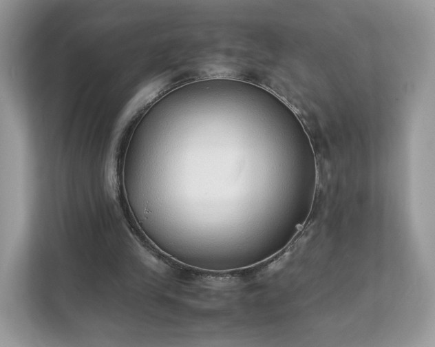 X0000111880245200907301143