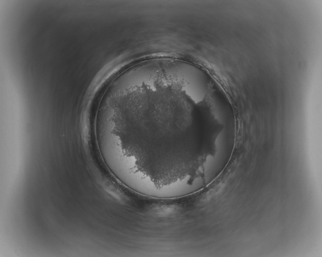 X0000111880247200907301143