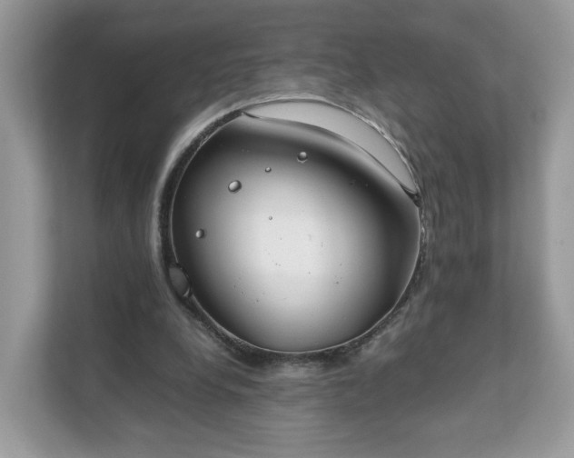 X0000111880248200907301143