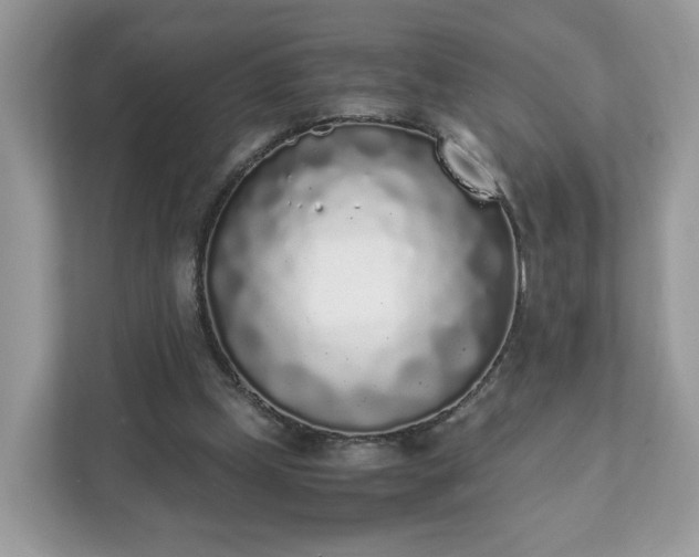 X0000111880249200907301143