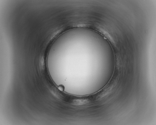 X0000111880251200907301143
