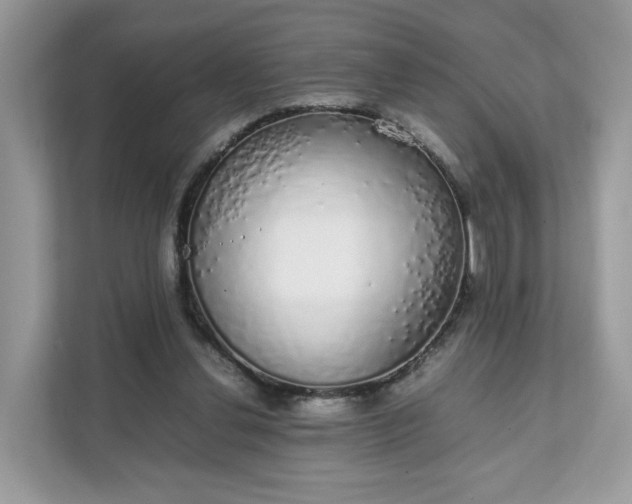 X0000111880252200907301143