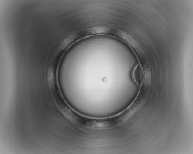 X0000111880254200907301143