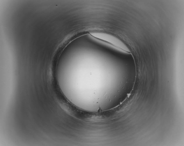 X0000111880256200907301143