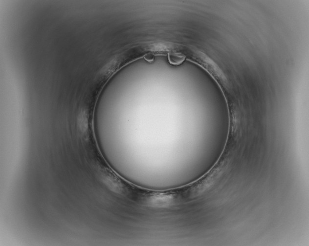 X0000111880257200907301143