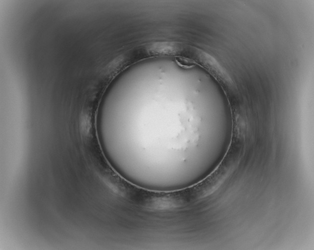 X0000111880259200907301143