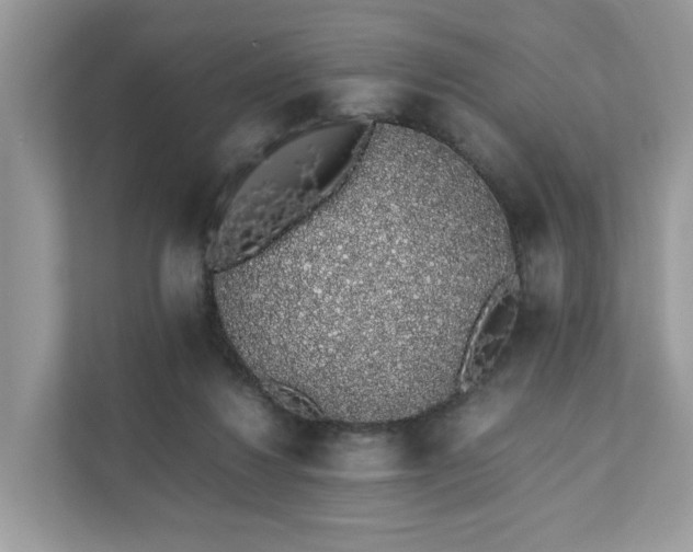 X0000111880260200907301143