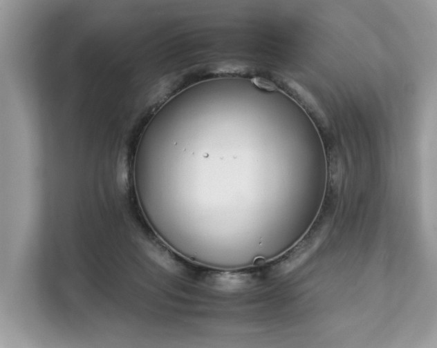 X0000111880261200907301143