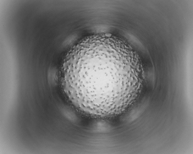 X0000111880264200907301143