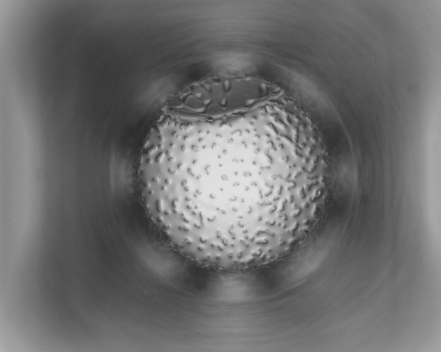 X0000111880268200907301143