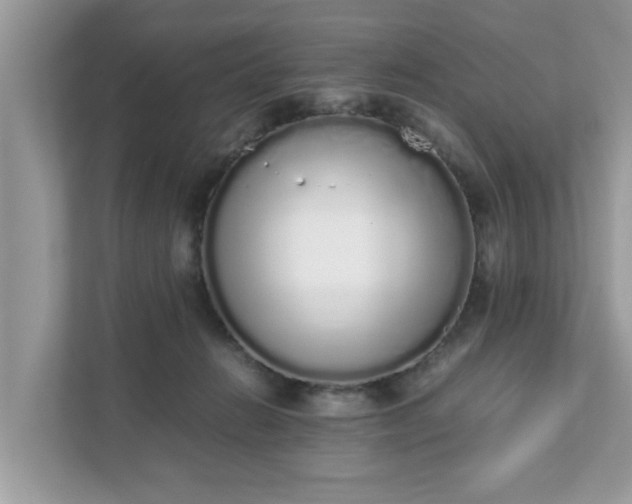 X0000111880270200907301143