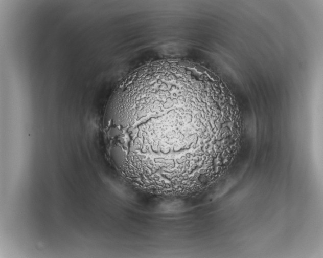 X0000111880271200907301143