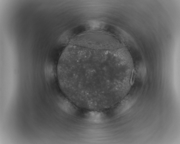 X0000111880272200907301143