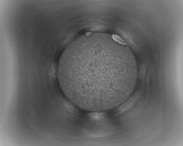 X0000111880273200907301143