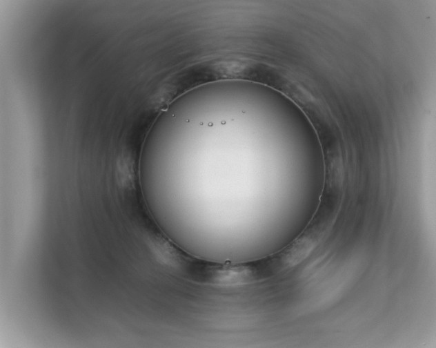 X0000111880274200907301143