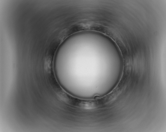 X0000111880275200907301143