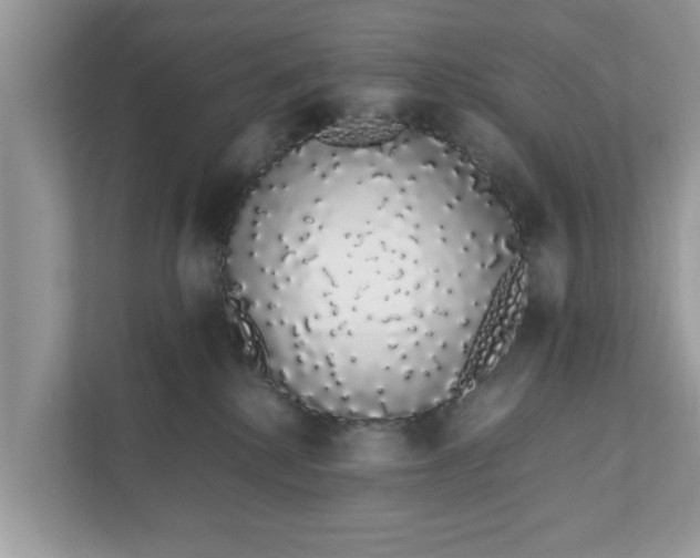 X0000111880280200907301143