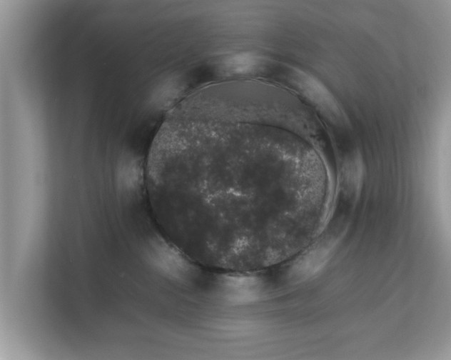 X0000111880284200907301143