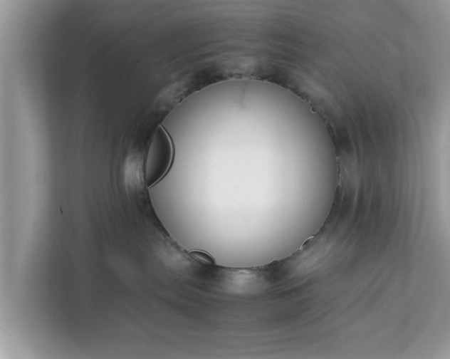 X0000111880287200907301143