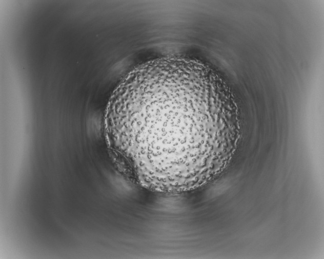 X0000111880288200907301143