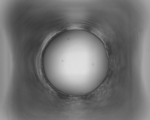 X0000111880289200907301143