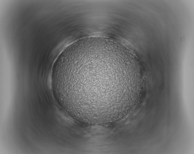 X0000111880290200907301142