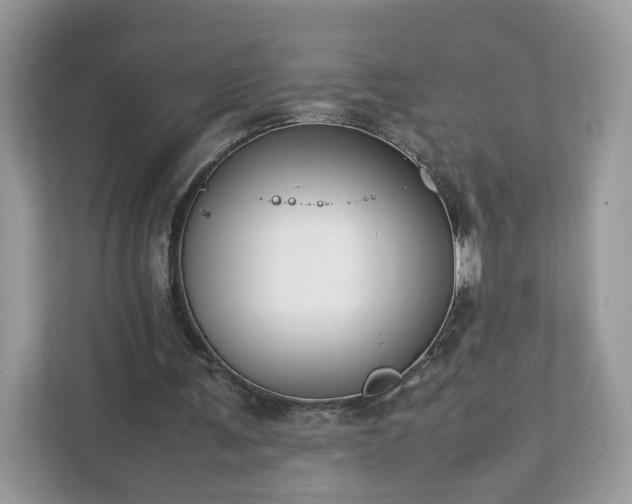 X0000111880291200907301142