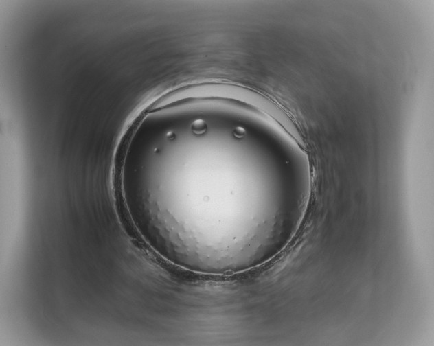 X0000111880292200907301142