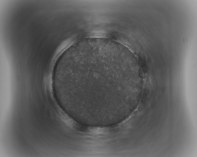X0000111880293200907301142