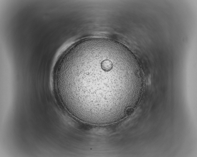 X0000111880294200907301142